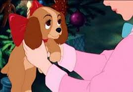 No compres perros adopta